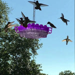 Hummingbird Feeder Ant-Proof & Bee-Resistant 12 Oz