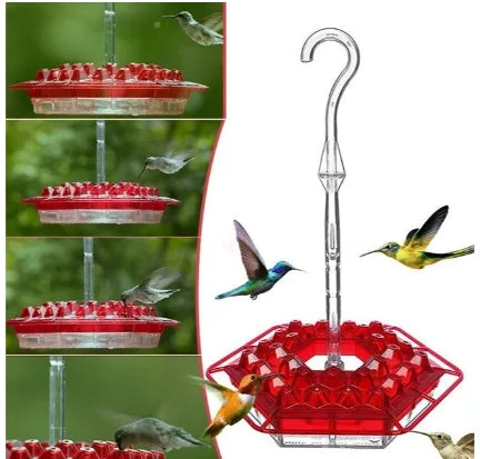 Hummingbird Feeder Ant-Proof & Bee-Resistant 12 Oz