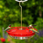 Hummingbird Feeder Built-In Ant Moat Five Feeding Ports 10.58 Oz Capacity