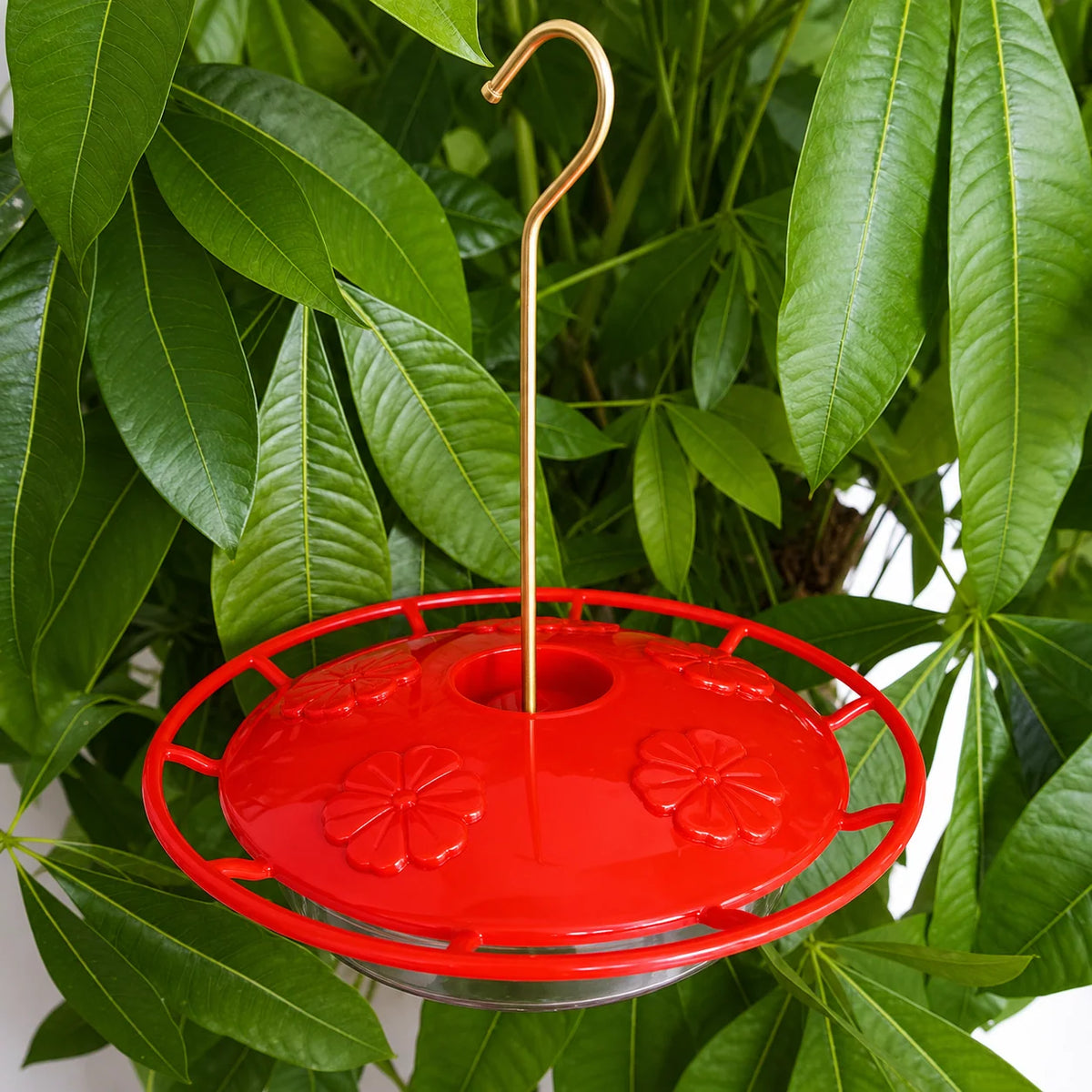 Hummingbird Feeder Built-In Ant Moat Five Feeding Ports 10.58 Oz Capacity