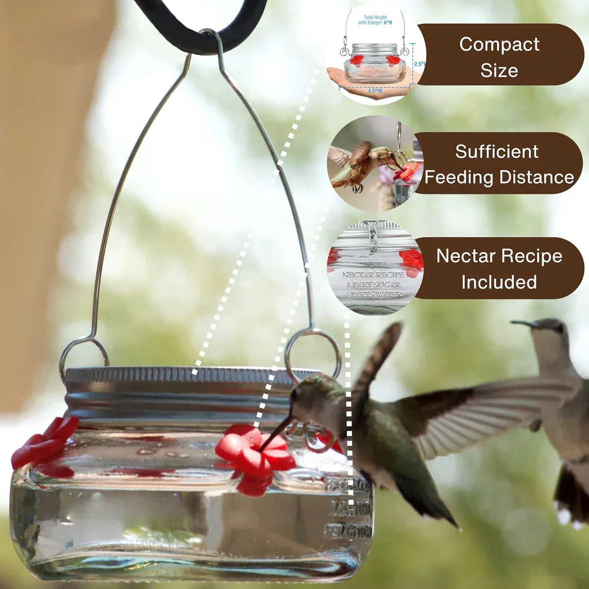 Hummingbird Feeder Clear Jar Four Ports Set of 2