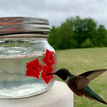 Hummingbird Feeder Clear Jar Four Ports Set of 2