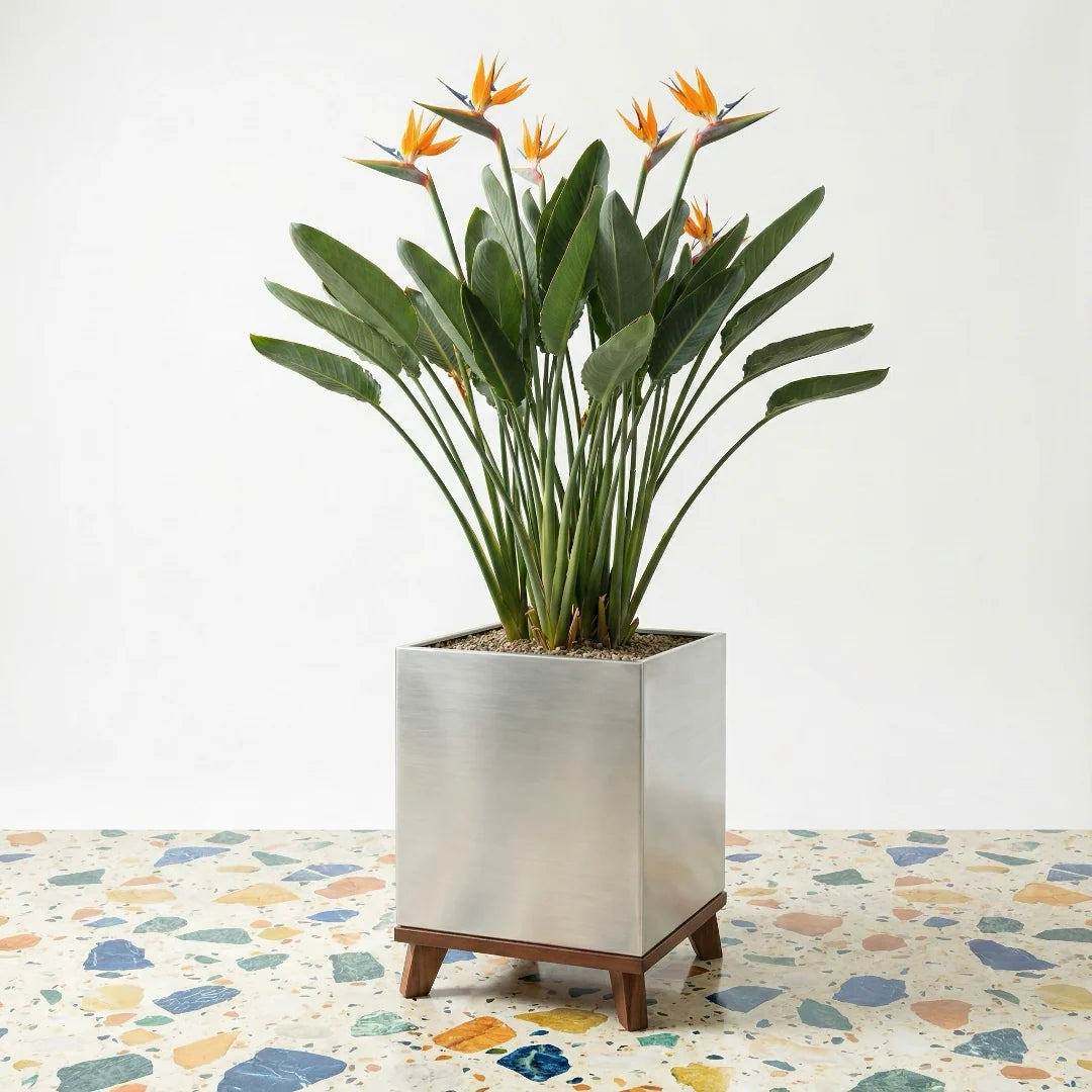 Indoor Planter Brushed Aluminum Waterproof Lining Hardwood Stand