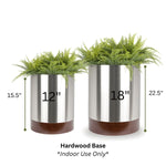 Indoor Planter Stainless Steel Hardwood Base