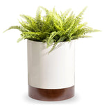 Indoor Planter Stainless Steel Hardwood Base