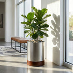 Indoor Planter Stainless Steel Hardwood Base