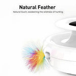 Interactive Cat Toy Automatic Rotating Feather Wand & LED Ball