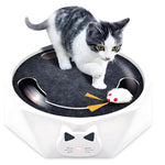 Interactive Cat Toy Moving Mouse Two Speeds & Squeaker