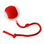 Interactive Dog Toy Lifelike Erratic Movement USB-C Rechargeable