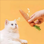 Kitten Toy Interactive Sound & Teeth-Cleaning