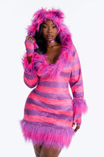 Kitty Costume Set Fuzzy Pink Hooded Dress 4-Piece