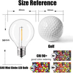LED Bulb Warm White 12V DC Low Power