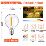 LED Bulb Warm White 12V DC Low Power