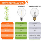 LED Bulb Warm White 12V DC Low Power