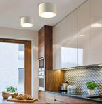 LED Ceiling Light Low-Profile Surface-Mounted Adjustable Color Temperature
