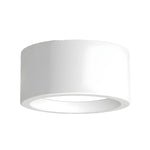 LED Ceiling Light Low-Profile Surface-Mounted Adjustable Color Temperature