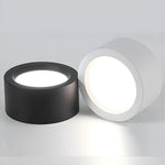 LED Ceiling Light Low-Profile Surface-Mounted Adjustable Color Temperature