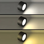 LED Ceiling Light Low-Profile Surface-Mounted Adjustable Color Temperature