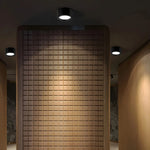 LED Ceiling Light Low-Profile Surface-Mounted Adjustable Color Temperature