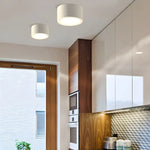 LED Ceiling Light Low-Profile Surface-Mounted Adjustable Color Temperature