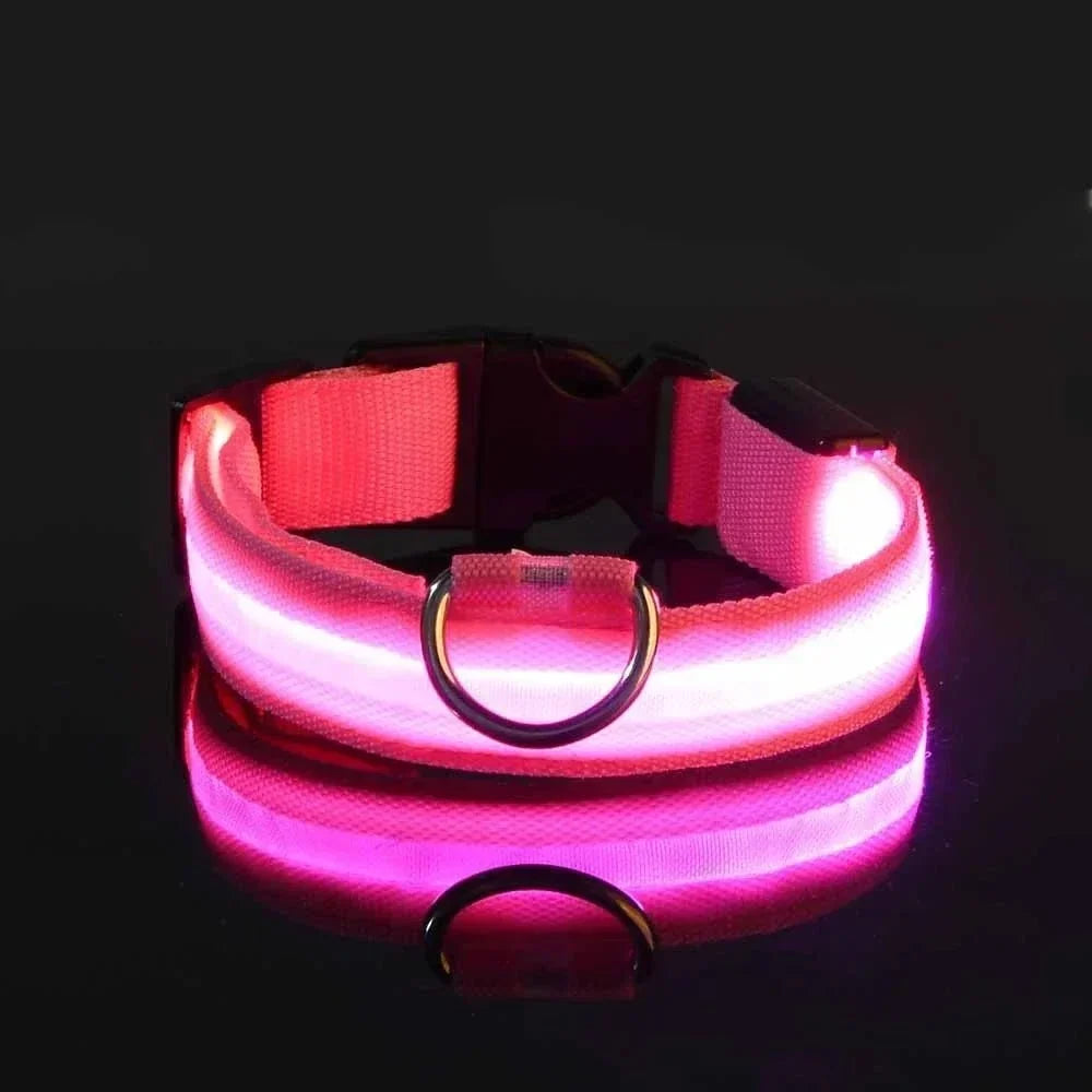 LED Dog Collar USB Rechargeable Three Light Modes Water-Resistant
