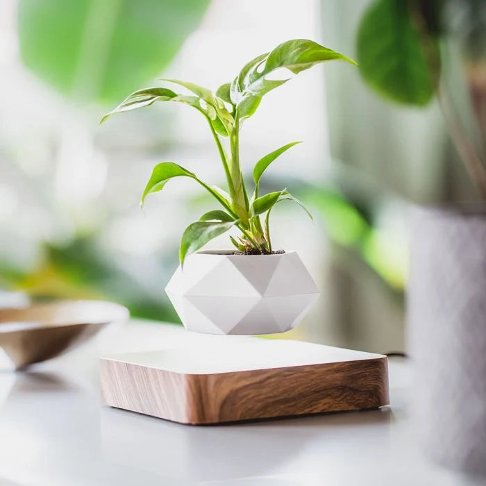 Levitating Planter Magnetic 360° Rotating Silent Operation