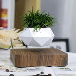Levitating Planter Magnetic 360° Rotating Silent Operation