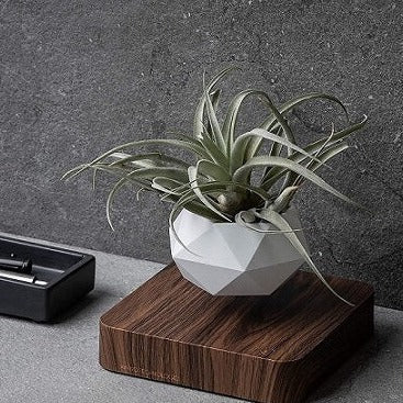Levitating Planter Magnetic 360° Rotating Silent Operation