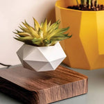 Levitating Planter Magnetic 360° Rotating Silent Operation