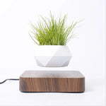 Levitating Planter Magnetic 360° Rotating Silent Operation