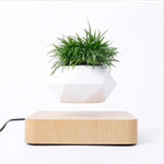 Levitating Planter Magnetic 360° Rotating Silent Operation