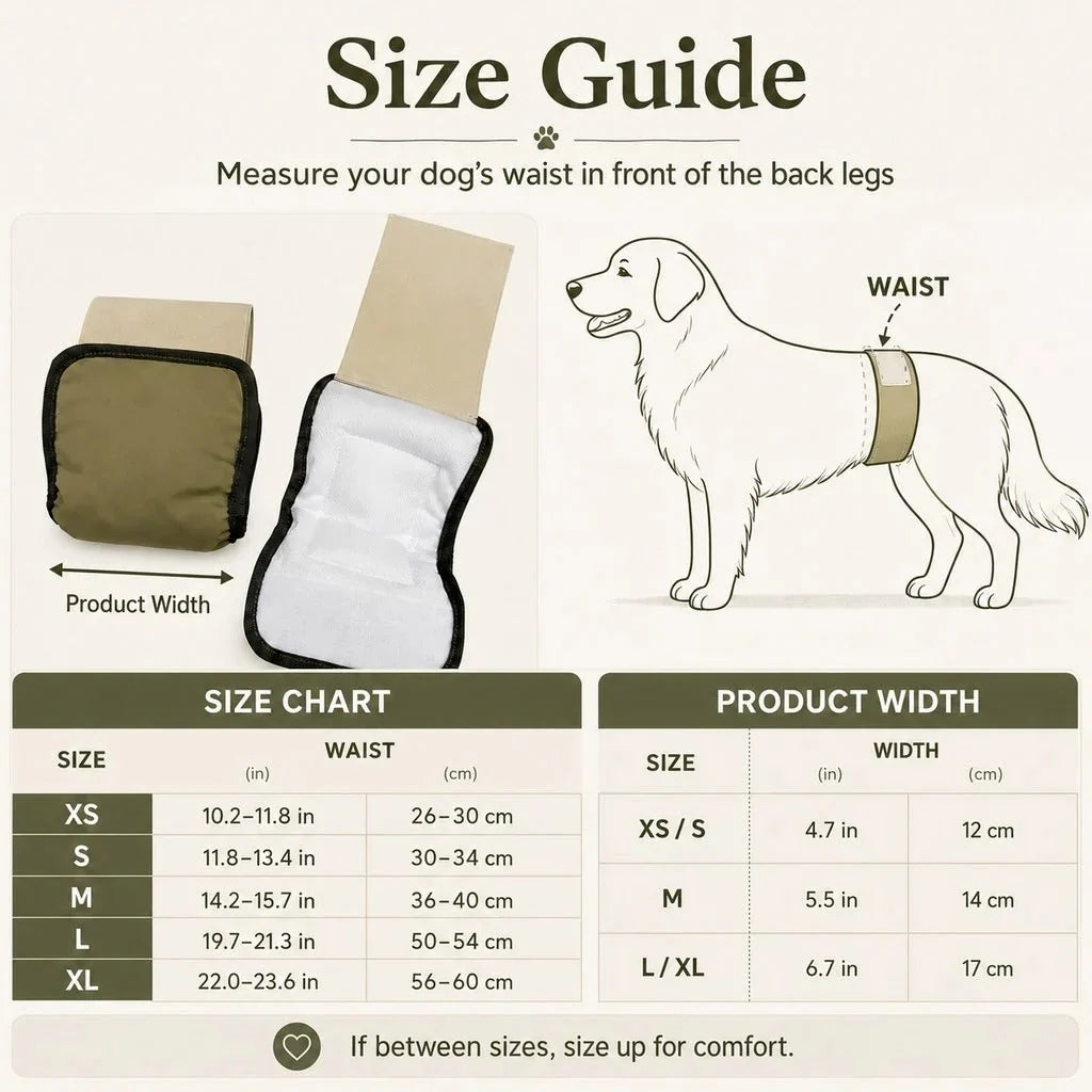 Male Dog Belly Bands Absorbent Washable 3-Pack