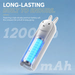 Mini Fan Handheld & Desktop USB Rechargeable
