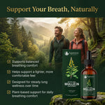 Mullein Supplement Drops Chlorophyll Botanical Blend