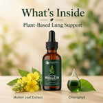 Mullein Supplement Drops Chlorophyll Botanical Blend