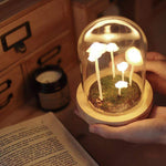 Mushroom Table Lamp Glass Dome Cordless Warm White Light