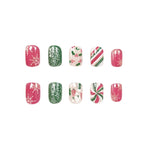 Nail Art Set Premium Gel Holiday Snowflake Designs
