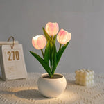 Night Light Rechargeable Touch-Dimmable Ceramic Flowerpot Base