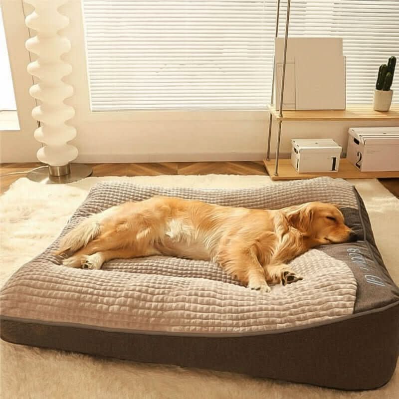 Orthopedic Dog Bed Joint Support Raised Edge Scratch-Resistant Surface