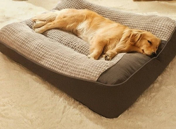 Orthopedic Dog Bed Raised Bolster Removable Machine-Washable Cover