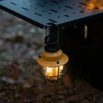 Outdoor Lamp LED Locking Spike Warm Light