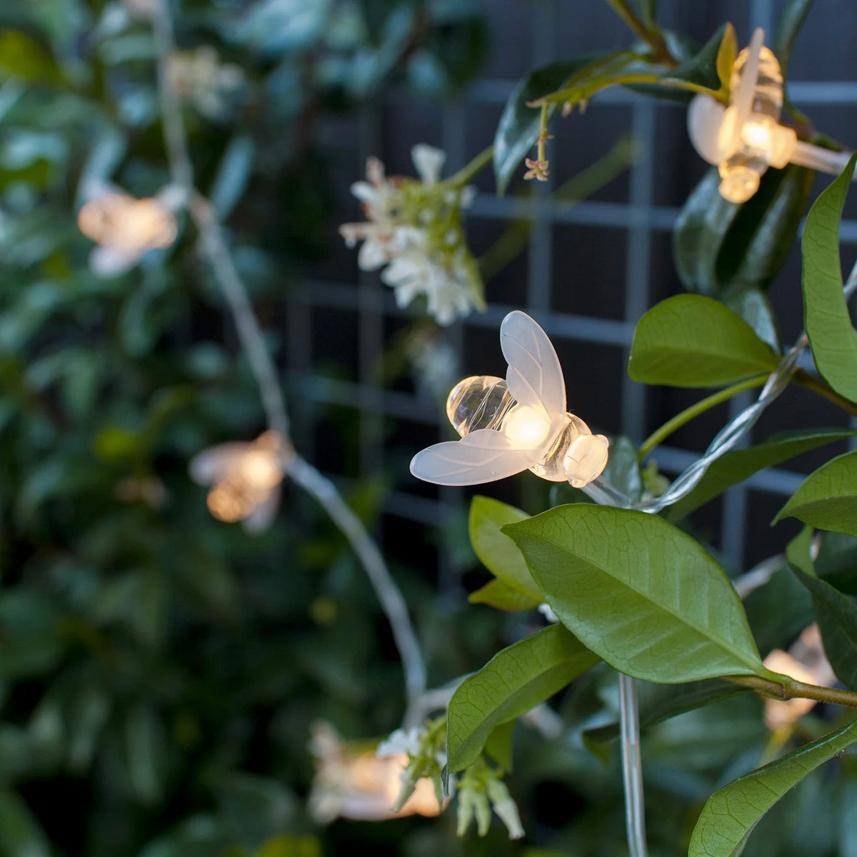 Outdoor String Lights Solar-Powered Bee-Shaped Set of 20