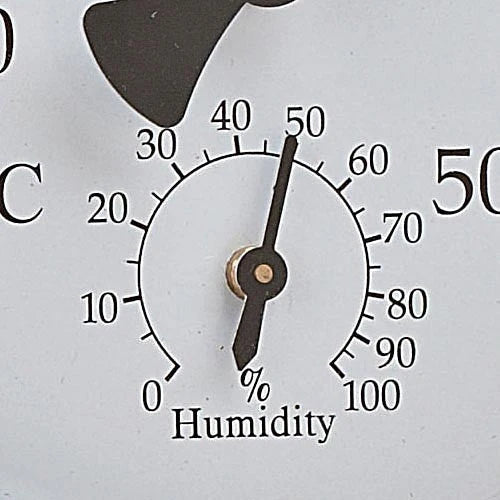 Outdoor Thermometer Hygrometer Brass Dual Scale Swivel Mount