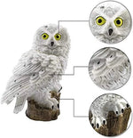 Owl Garden Light Solar Powered IP65 Weather-Resistant Warm White LED