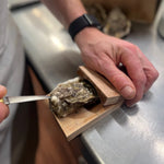 Oyster Shucking Clamp Stainless Steel Blade & Non-Slip Base