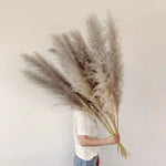 Pampas Grass Stems Artificial Feathery 25.6 Inch