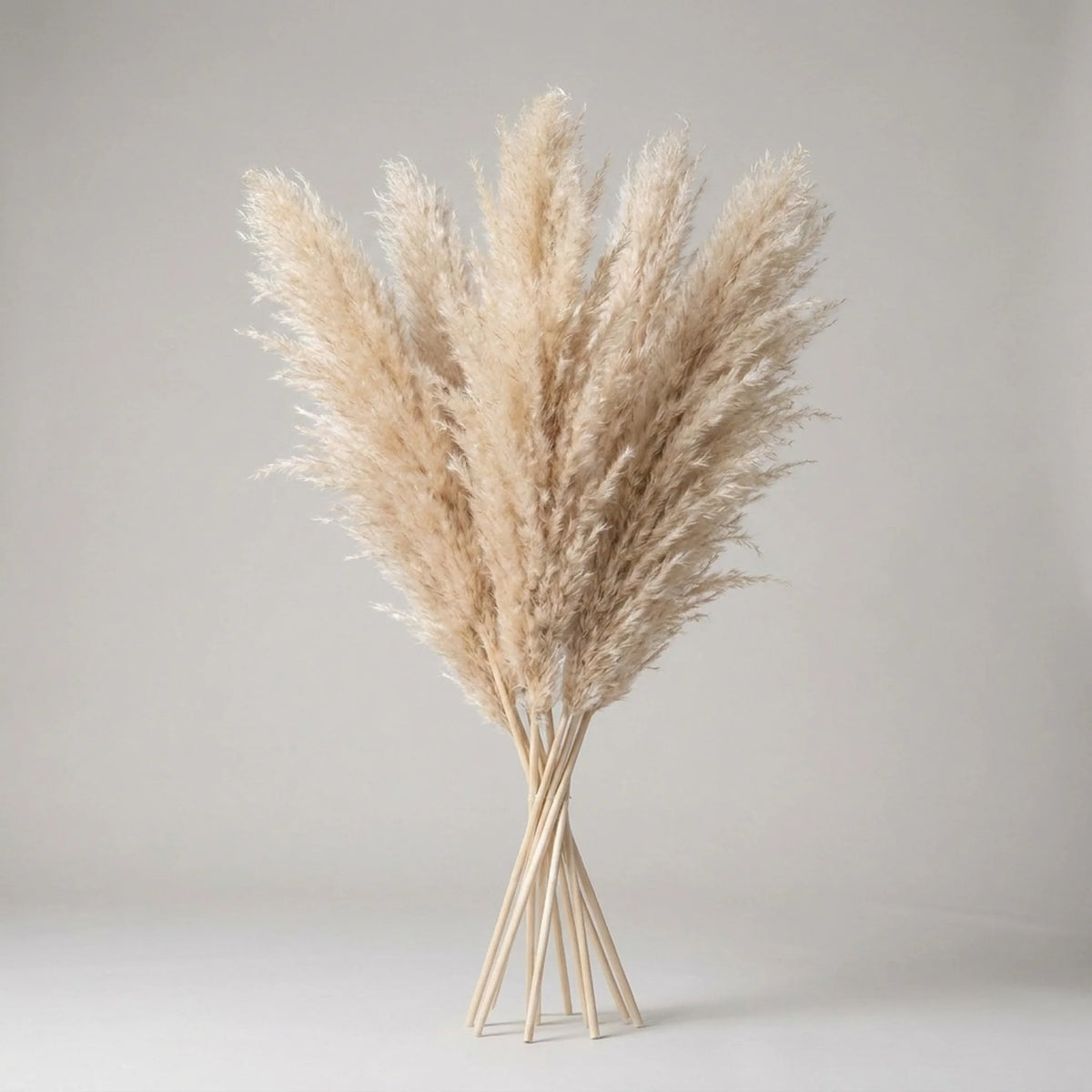 Pampas Grass Stems Artificial Feathery 25.6 Inch
