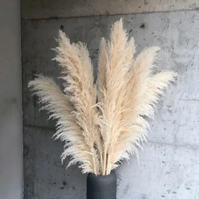 Pampas Grass Stems Artificial Feathery 25.6 Inch
