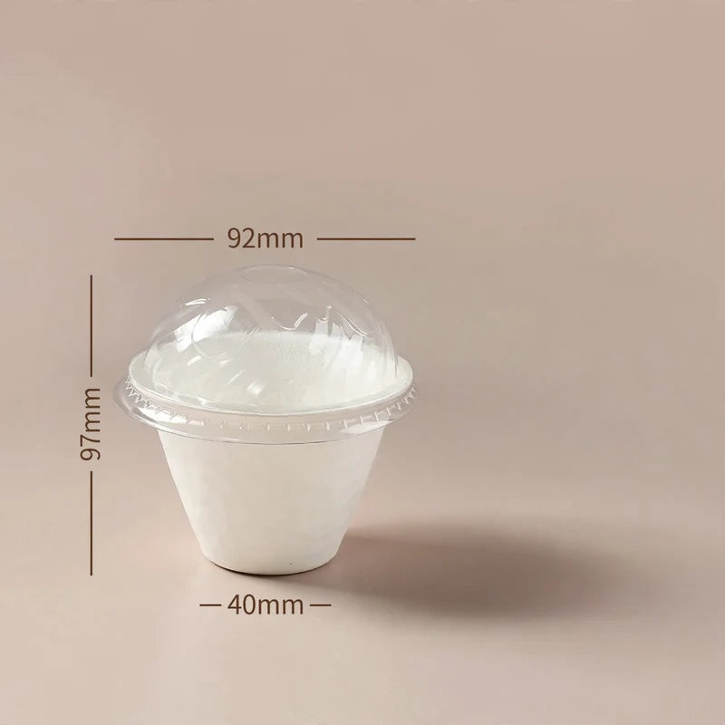 Paper Food Containers Biodegradable Food-Safe Set of 50