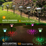 Pathway Stake Light Solar-Powered Color-Changing Dusk-to-Dawn